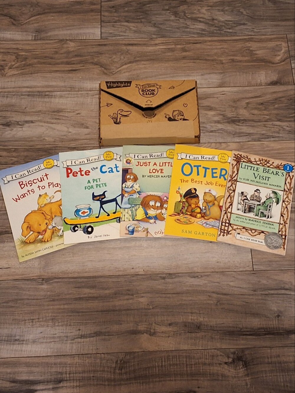 NEW I Can Read My First Reader And Level 1 Early Reader Book Bundle